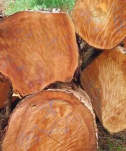 Mahogany Wood Logs