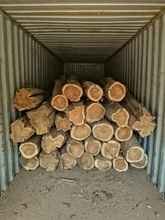 Teak Wood Logs