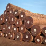 Afromosia Wood Logs