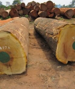 Iroko Wood Logs