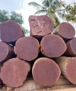 Wenge Wood Logs