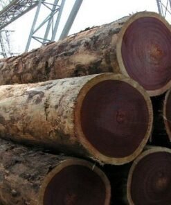 Rosewood Logs