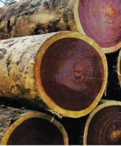 Rosewood Log1
