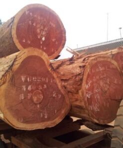 Sapele Wood Logs