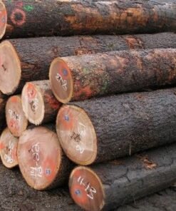 Oak Wood Logs