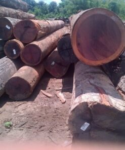 Zebrano Wood Logs