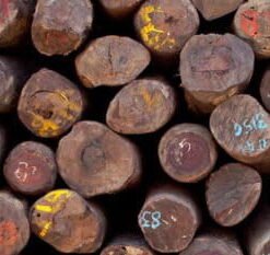 Rosewood Log1