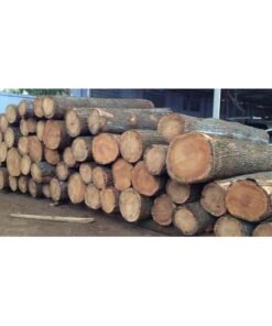 Oak Wood Logs