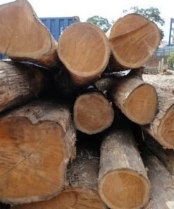 Teak Wood Logs
