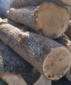 Oak Wood Logs