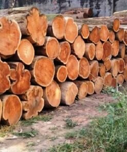 Mahogany Wood Logs