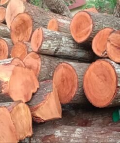 Mahogany Wood Logs