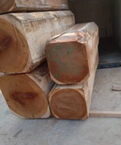 Premium Iroko Wood Logs | Durable African Teak for Export