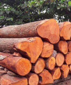 Mahogany Wood Logs